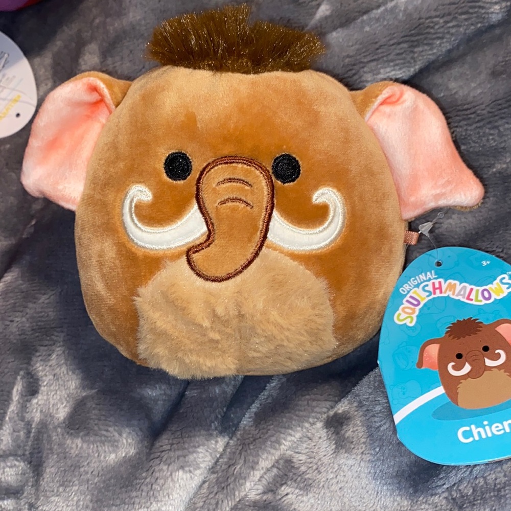 Chienda (The Woolly Mammoth) 5 Inch Squishmallow.